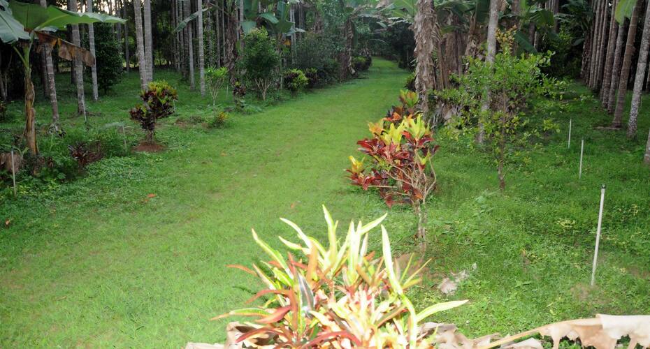 Sathwik Homestay, Sirsi 4